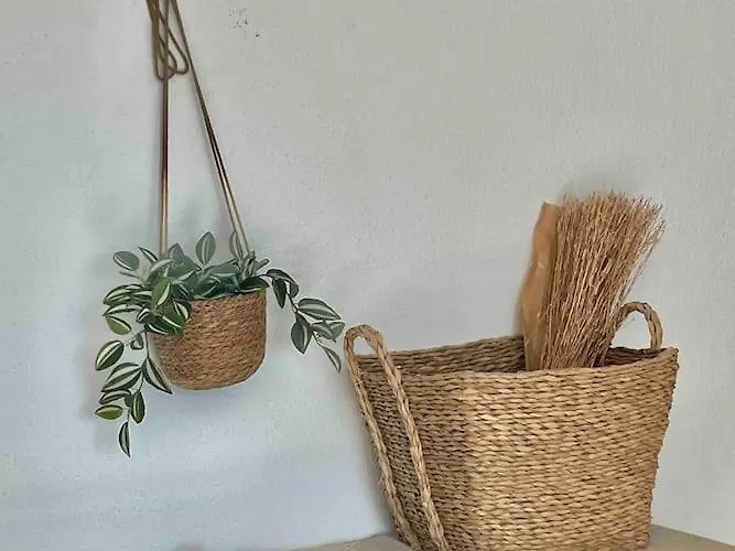 Arenal Paola Sea Views アパート カルプ