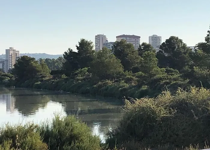 Arenal Paola Sea Views *